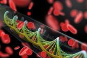 Lp(a) and LPA Genetic Risk Score Both Predict Incident ASCVD: UK Biobank